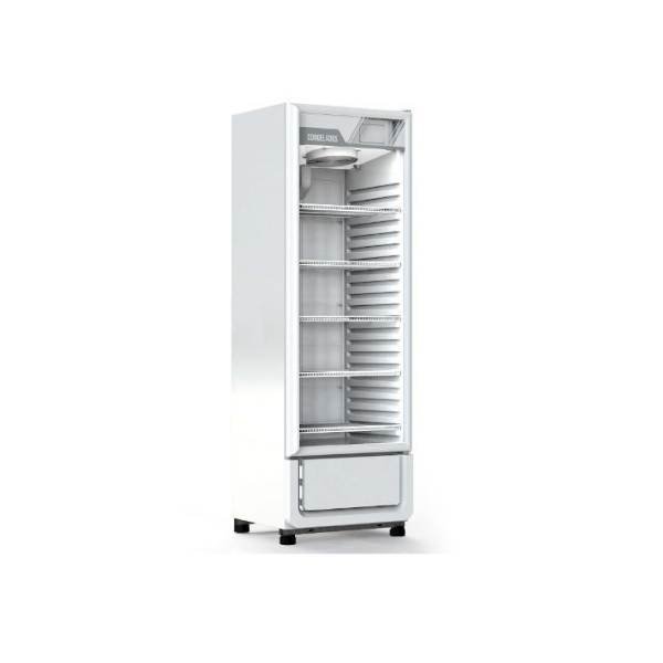 11170-min Exhibidora vertical 428 Lts congelados BT-17, R290 Inelro - Imagen 1