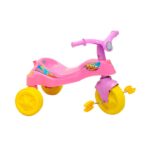 Triciclo Eco Rayo girl 1411, Biemme